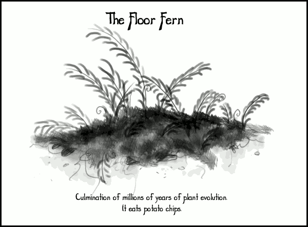 Comic image; comic text is as follows: The floor fern: culmination of millions of years of plant evolution. It eats potato chips.